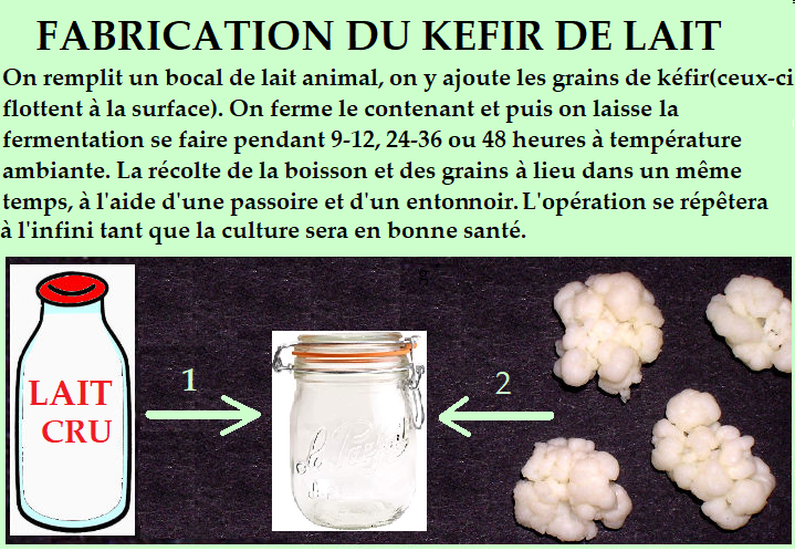 Activation des grains de Kéfir de fruit (protocole) – Kefir